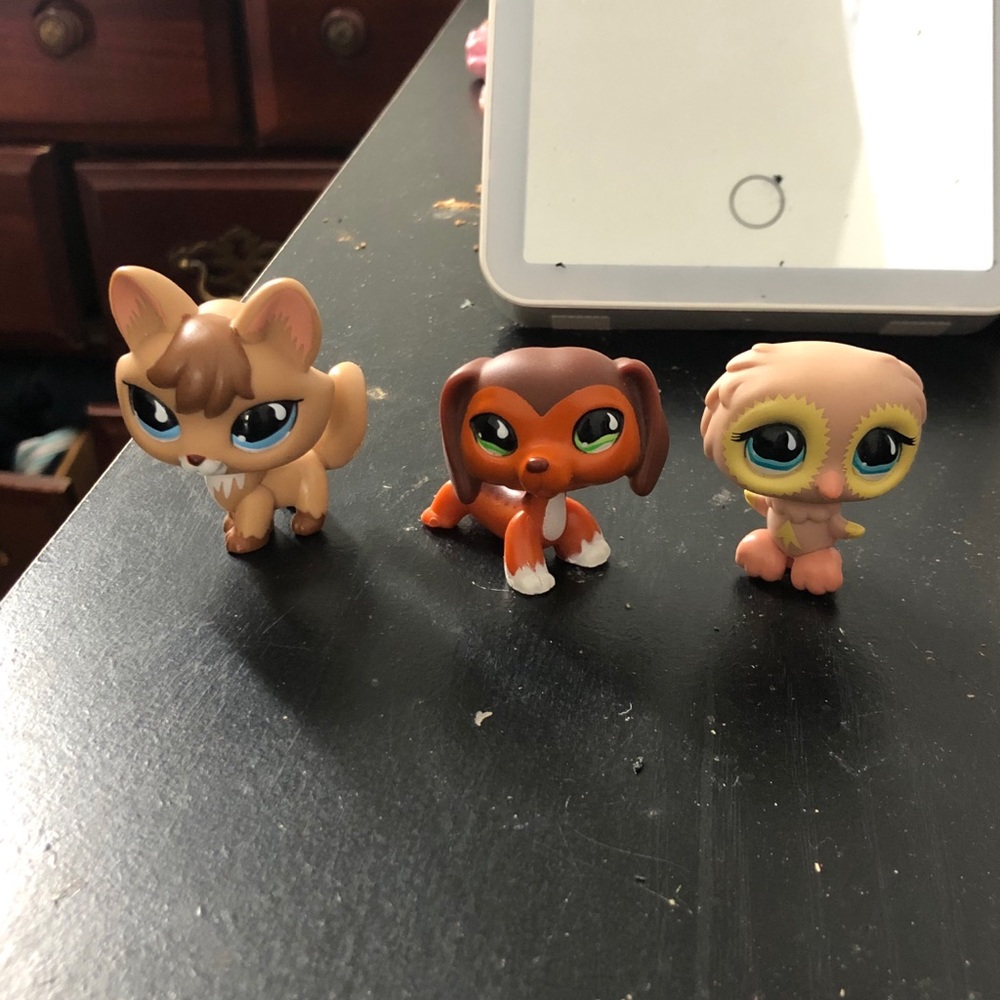 Littlest pet shop poplar
